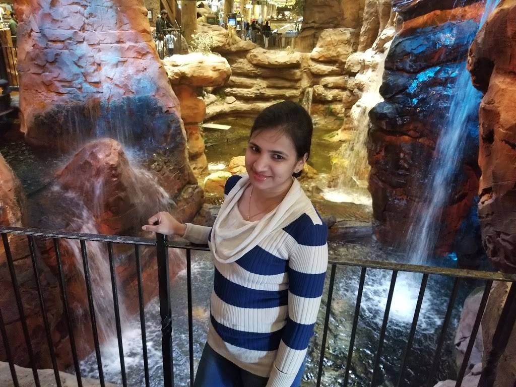 Festival Center | restaurant | 4825 W Flamingo Rd, Las Vegas, NV 89103, USA | 7023415555 OR +1 702-341-5555