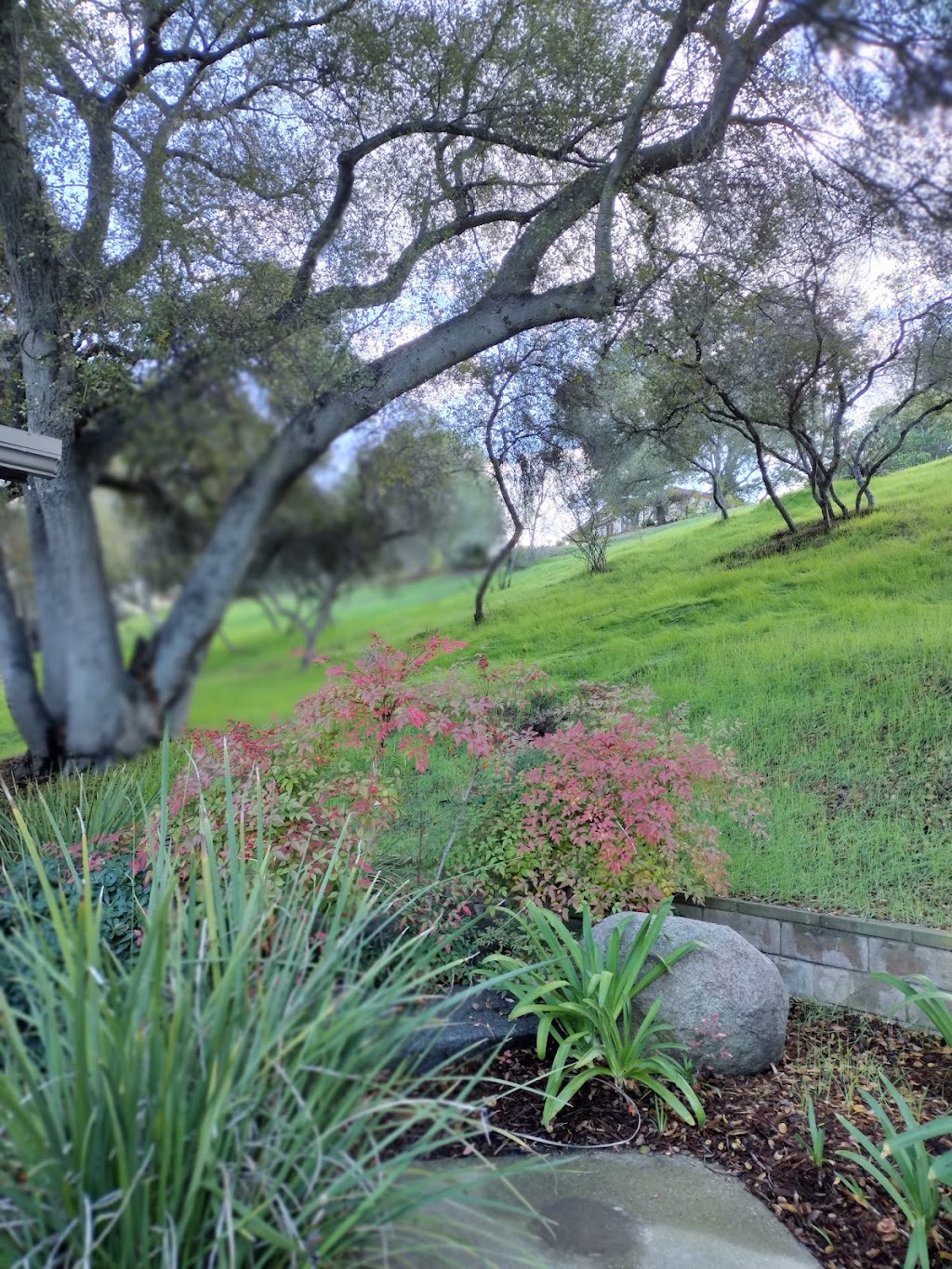 Champagne Village | restaurant | 8975 Lawrence Welk Dr, Escondido, CA 92026, USA | 7607498008 OR +1 760-749-8008