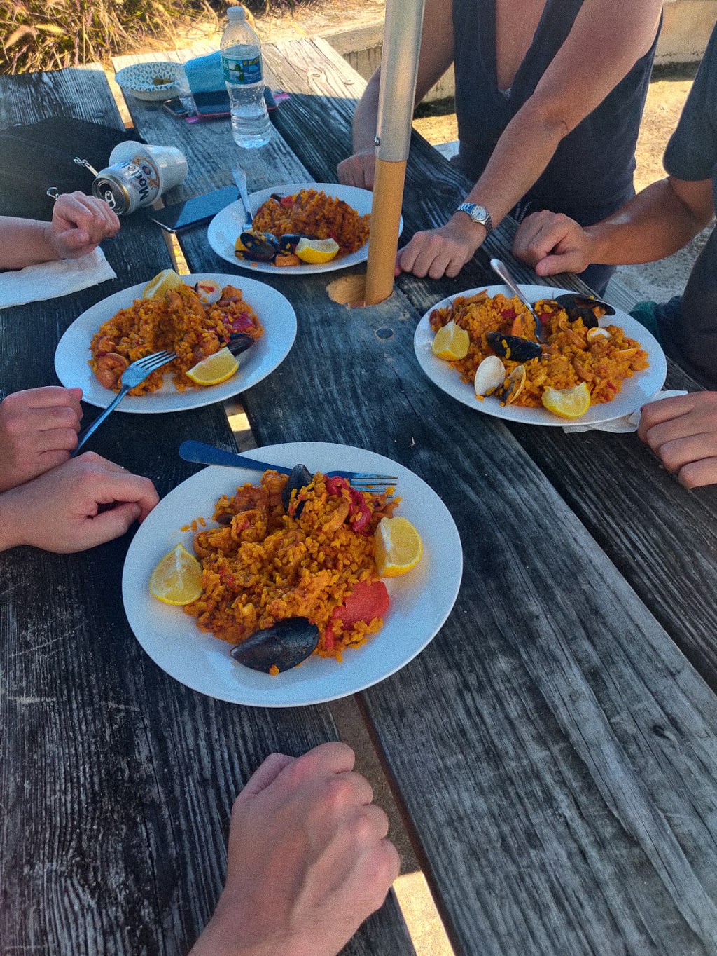 Open Seas Paellas Españolas | restaurant | 33149 Crandon Park, Key Biscayne, FL 33149, USA | 3057945442 OR +1 305-794-5442