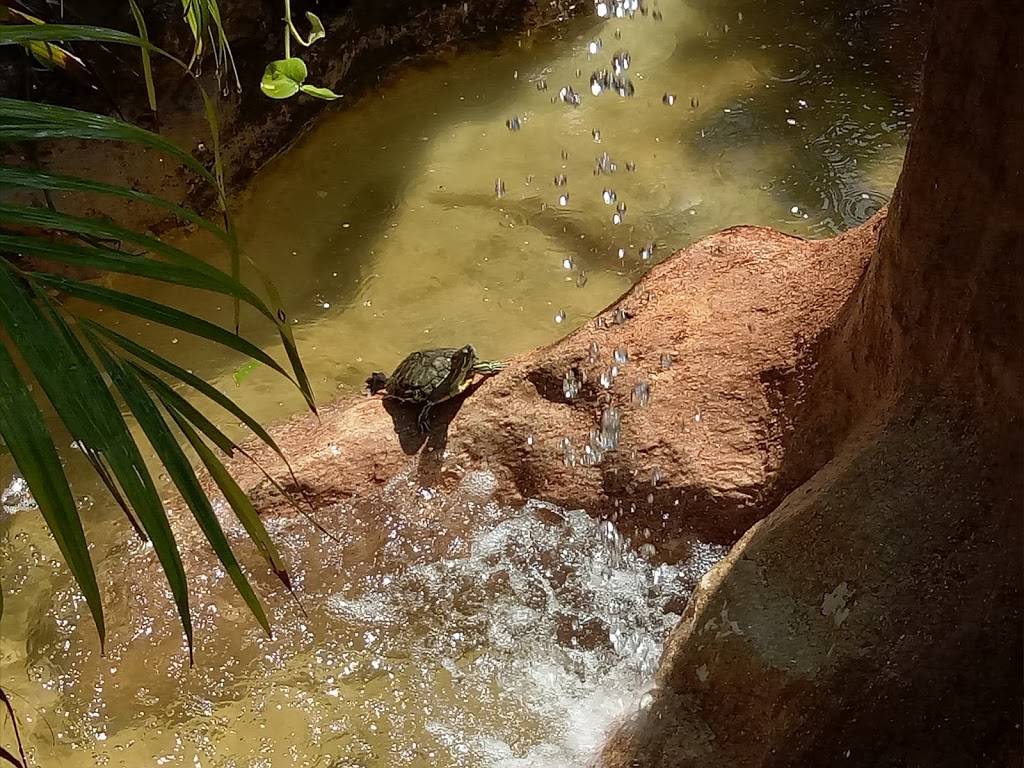 Cozumel Cantina | restaurant | 5058 Old National Hwy, College Park, GA 30349, USA | 4045592000 OR +1 404-559-2000