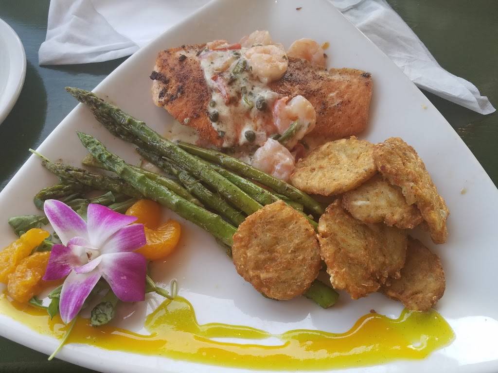 Hula Bay Club | restaurant | 5210 W Tyson Ave, Tampa, FL 33611, USA | 8138374852 OR +1 813-837-4852