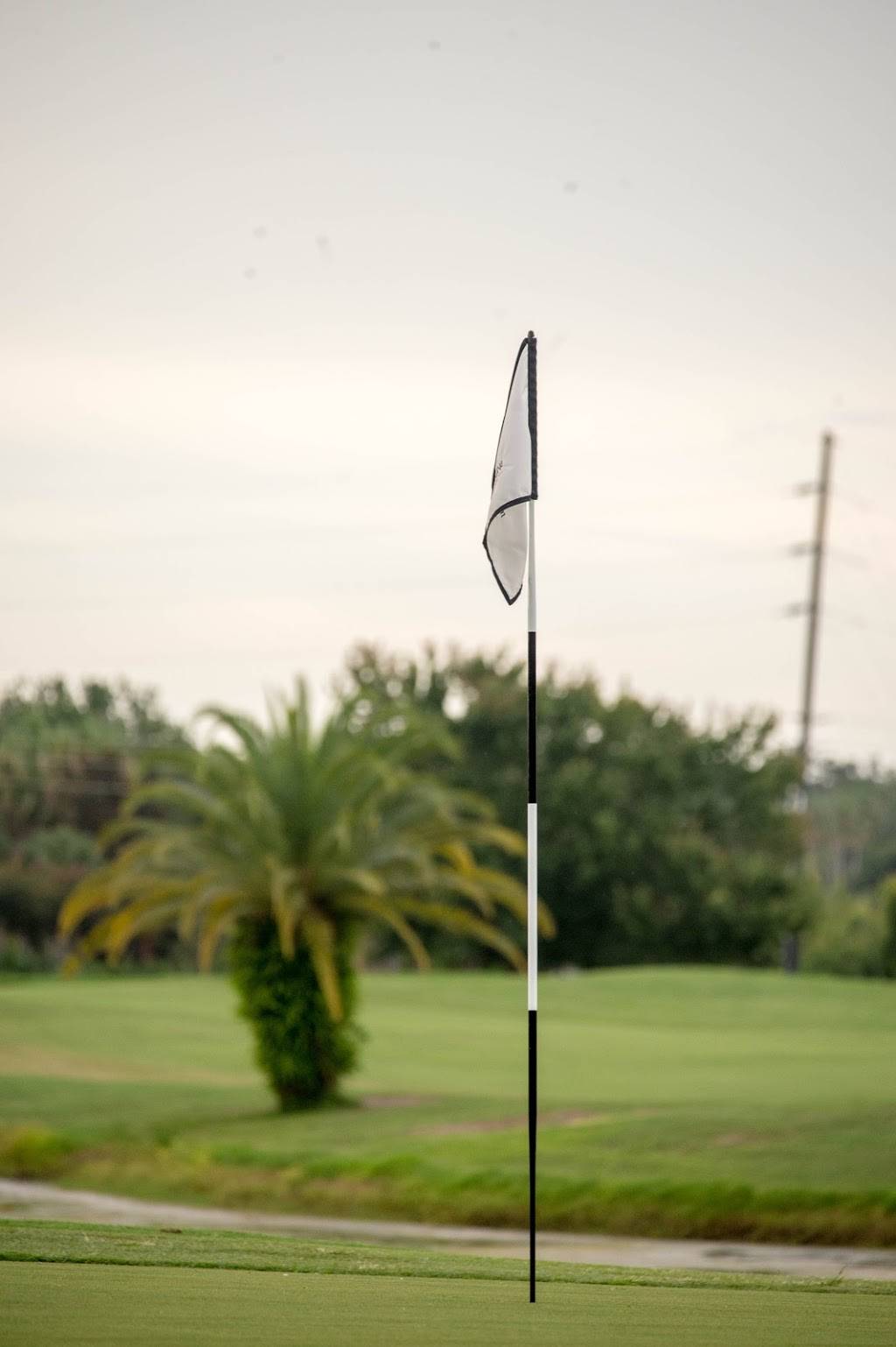 White Heron Golf Club | restaurant | 200 Eagle Ridge Dr, Davenport, FL 33837, USA | 8635478800 OR +1 863-547-8800