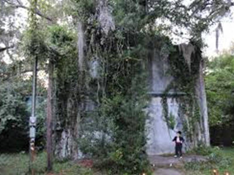 Ghost Party Tours | restaurant | 1600 E 8th Ave, Tampa, FL 33605, USA | 8136101063 OR +1 813-610-1063