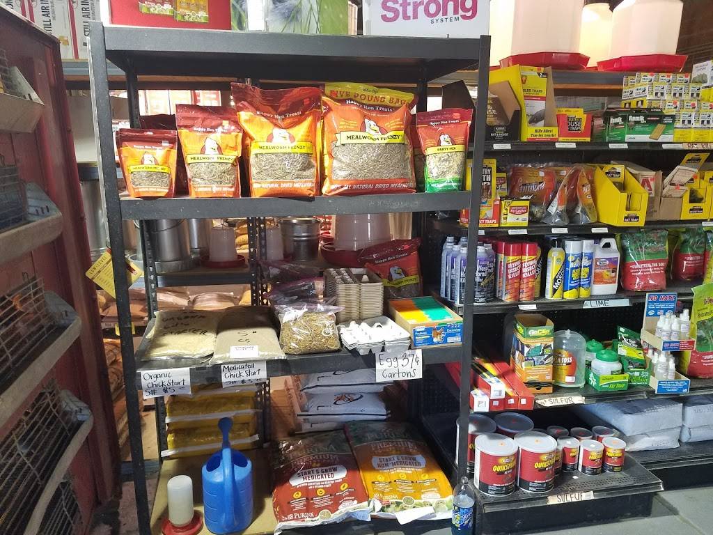 Standard Feed & Seed | restaurant | 1236 Kings Rd, Jacksonville, FL 32204, USA | 9043555575 OR +1 904-355-5575