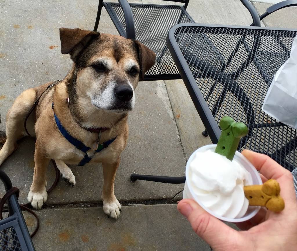 Lemonberry Frozen Yogurt | restaurant | 8483 Chippewa Rd, Brecksville, OH 44141, USA | 4405266999 OR +1 440-526-6999