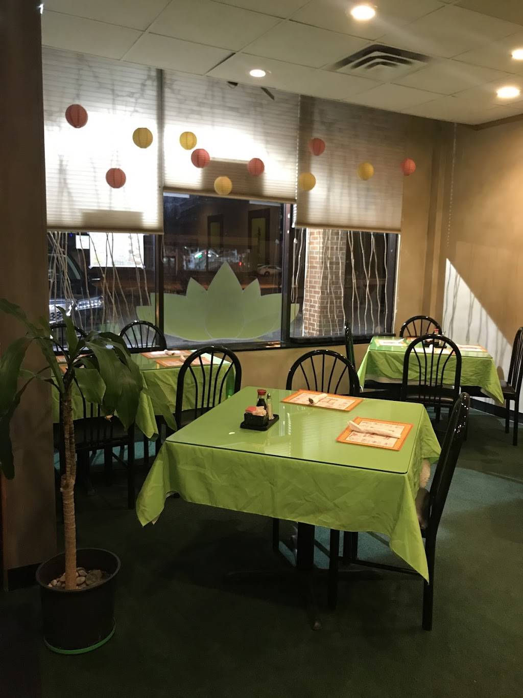 Sun Luck Garden Chinese Food | restaurant | 1901 S Taylor Rd, Cleveland Heights, OH 44118, USA | 2163977676 OR +1 216-397-7676