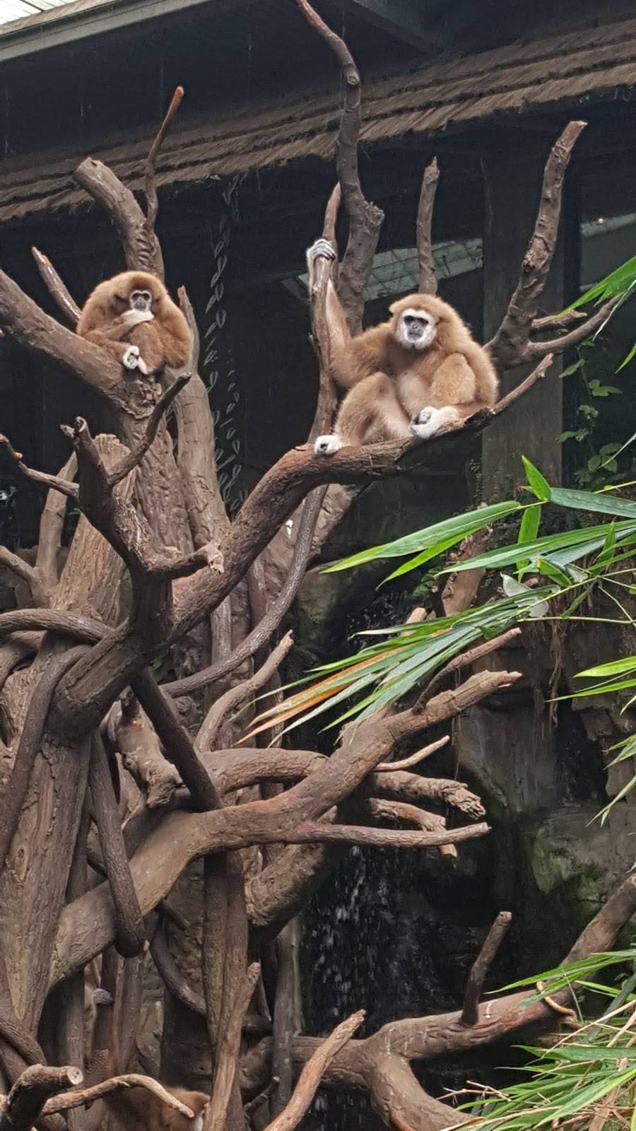 Durham TreeTops Restaurant | restaurant | 3701 S 10th St, Omaha, NE 68107, USA | 4027338401 OR +1 402-733-8401