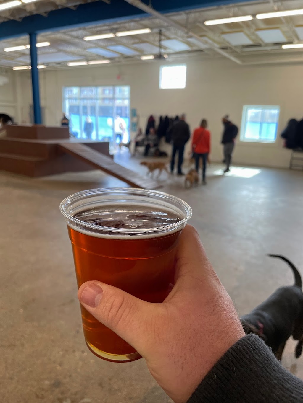 Unleashed Hounds and Hops | restaurant | 200 East Lyndale Ave N, Minneapolis, MN 55405, USA | 6124395060 OR +1 612-439-5060