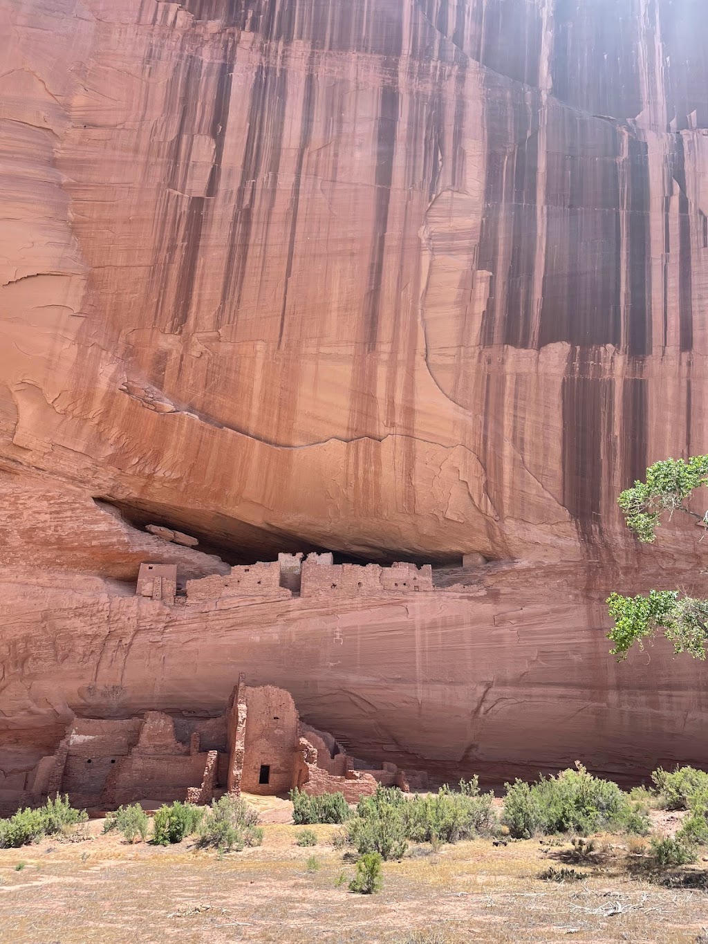 Thunderbird Lodge | restaurant | Rte 7, Chinle, AZ 86503, USA | 9286745842 OR +1 928-674-5842