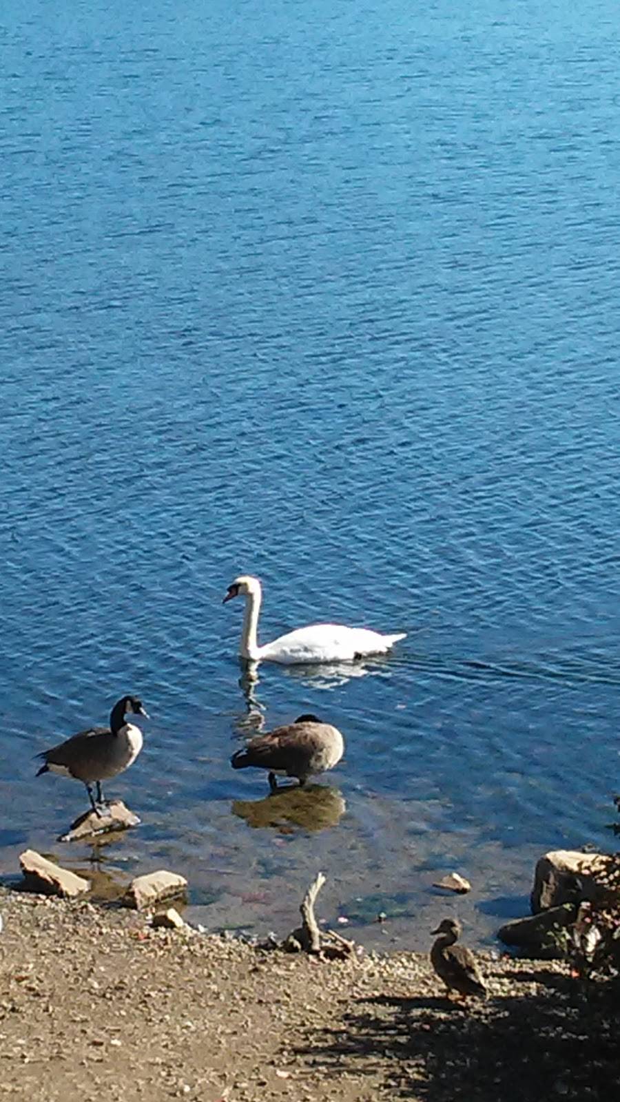 Stephen Anthonys Restaurant | restaurant | 999 Boston Post Rd E, Marlborough, MA 01752, USA | 5084609618 OR +1 508-460-9618