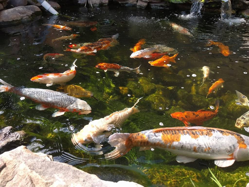 Penang Malaysian Cuisine | restaurant | 2491 George Busbee Pkwy NW, Kennesaw, GA 30144, USA | 6782134848 OR +1 678-213-4848