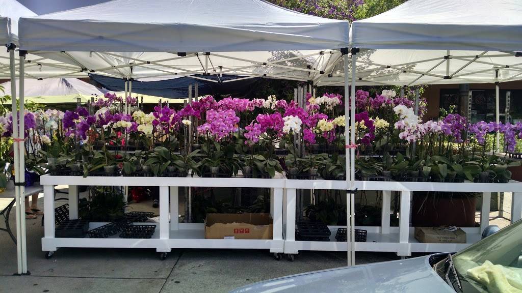 TK Noodle | restaurant | 1818 Tully Rd # 162B, San Jose, CA 95122, USA | 4082231688 OR +1 408-223-1688