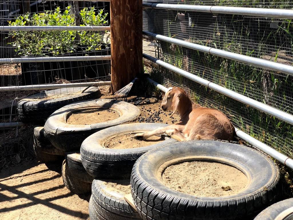 Nates Garden Grill | restaurant | 3120 Euclid Ave, San Diego, CA 92105, USA | 6195467700 OR +1 619-546-7700