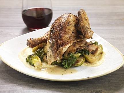 Salt Creek Grille | restaurant | 32802 Pacific Coast Hwy, Dana Point, CA 92629, USA | 9496617799 OR +1 949-661-7799