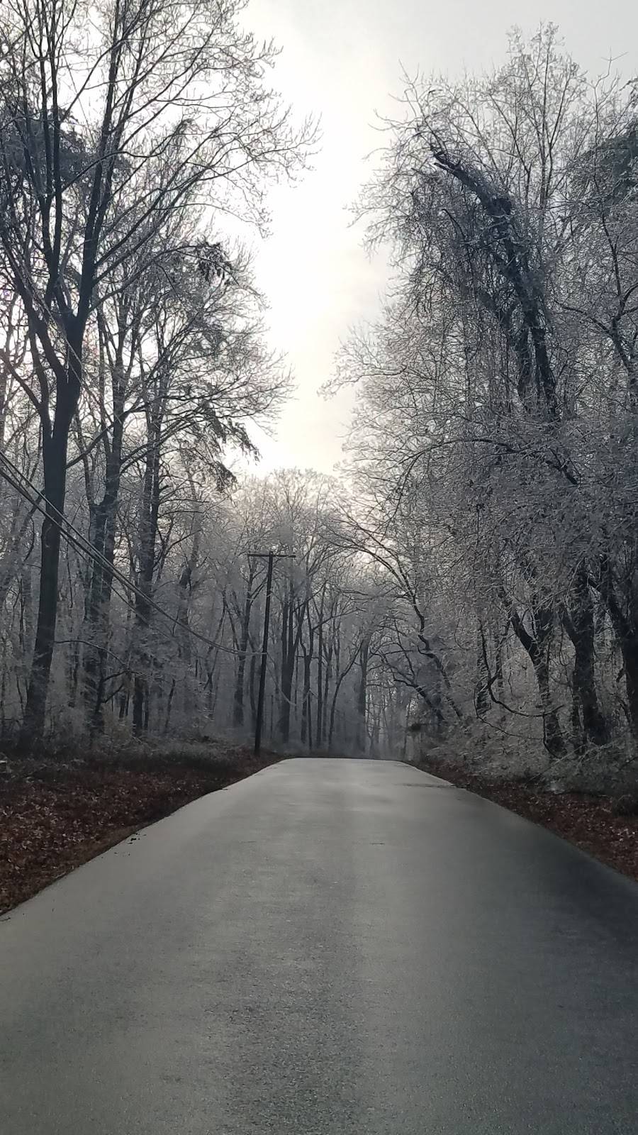 The Dugout | restaurant | 11010 Bird River Grove Rd, White Marsh, MD 21162, USA | 4103359840 OR +1 410-335-9840