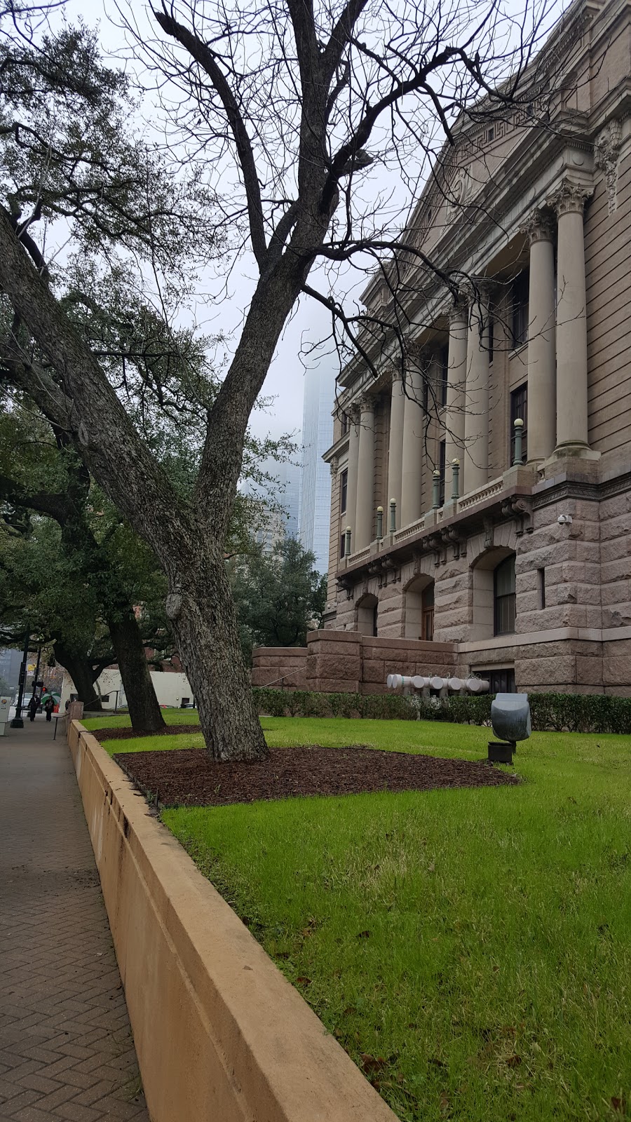 La Palapa Downtown | restaurant | 1110 Preston St, Houston, TX 77002, USA | 7132289620 OR +1 713-228-9620