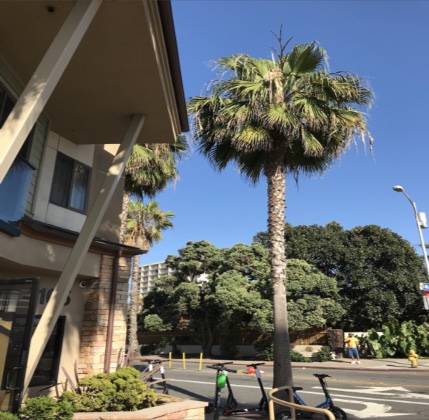 Café 20/20 | cafe | 4105 Mission Blvd, San Diego, CA 92109, USA | 8588867792 OR +1 858-886-7792