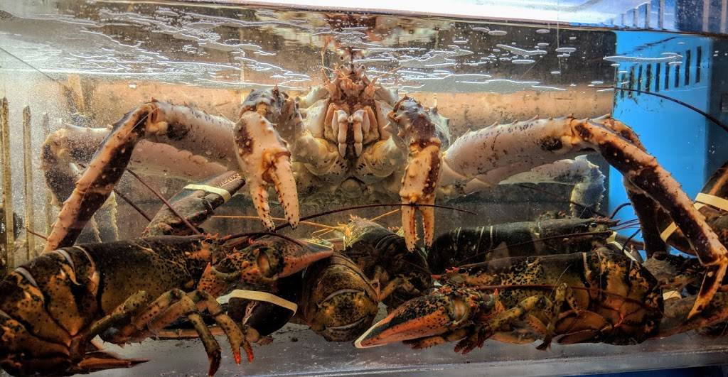 Season | restaurant | 1321 Avenue U, Brooklyn, NY 11229, USA | 7189988980 OR +1 718-998-8980