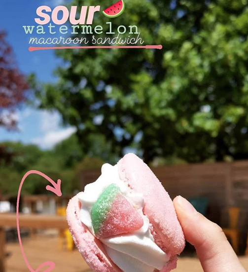 Mavericks Cold Bar | restaurant | 55 E Pike Creek Rd, Windsor, ON N8N 3S1, Canada | 5197908017 OR +1 519-790-8017