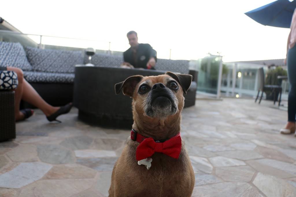 Ocean View Bar & Grill | restaurant | 710 Camino Del Mar, Del Mar, CA 92014, USA | 8587551501 OR +1 858-755-1501