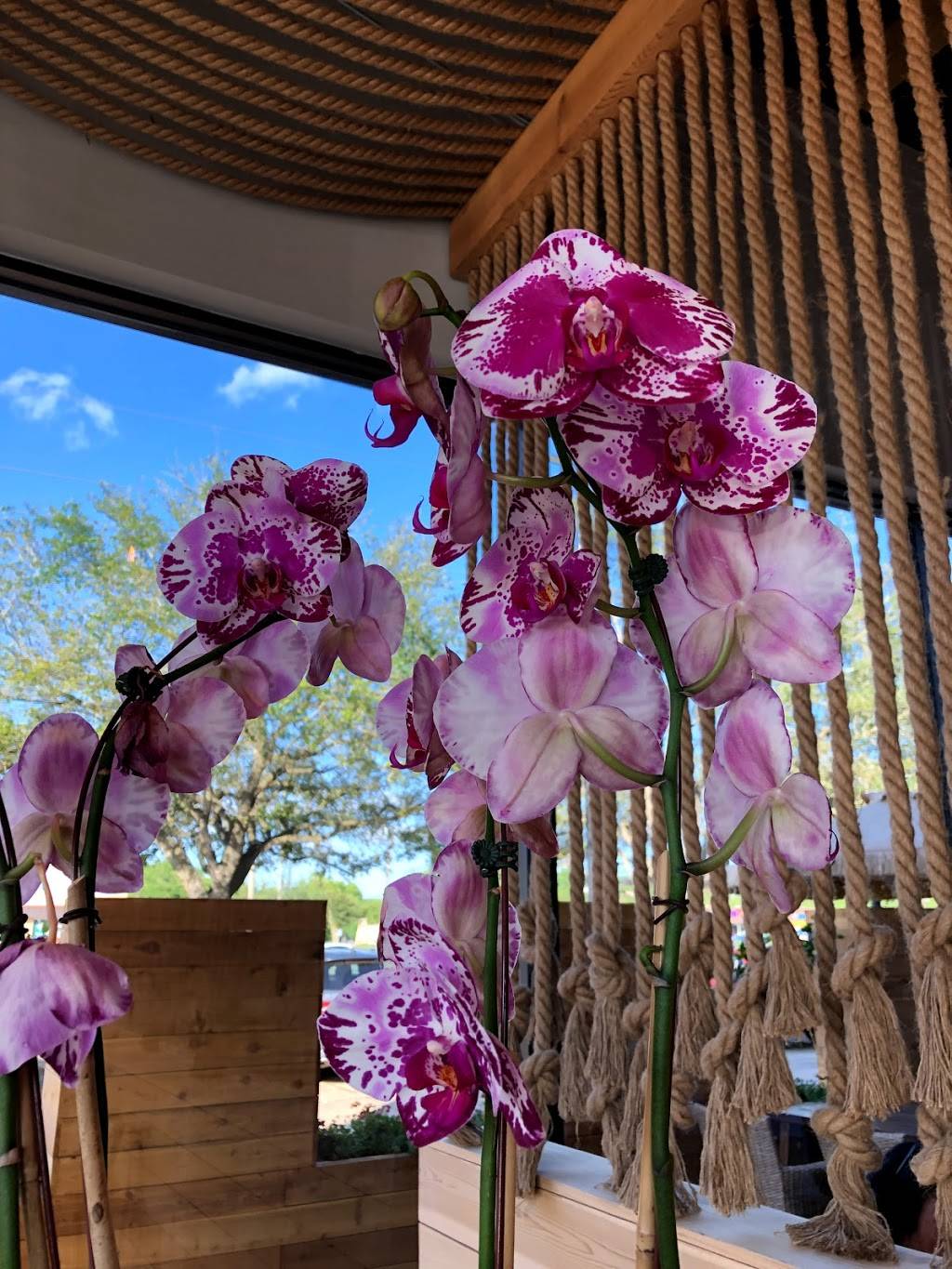 Top Sushi | restaurant | 6266 Hwy 6, Missouri City, TX 77459, USA | 2819698894 OR +1 281-969-8894