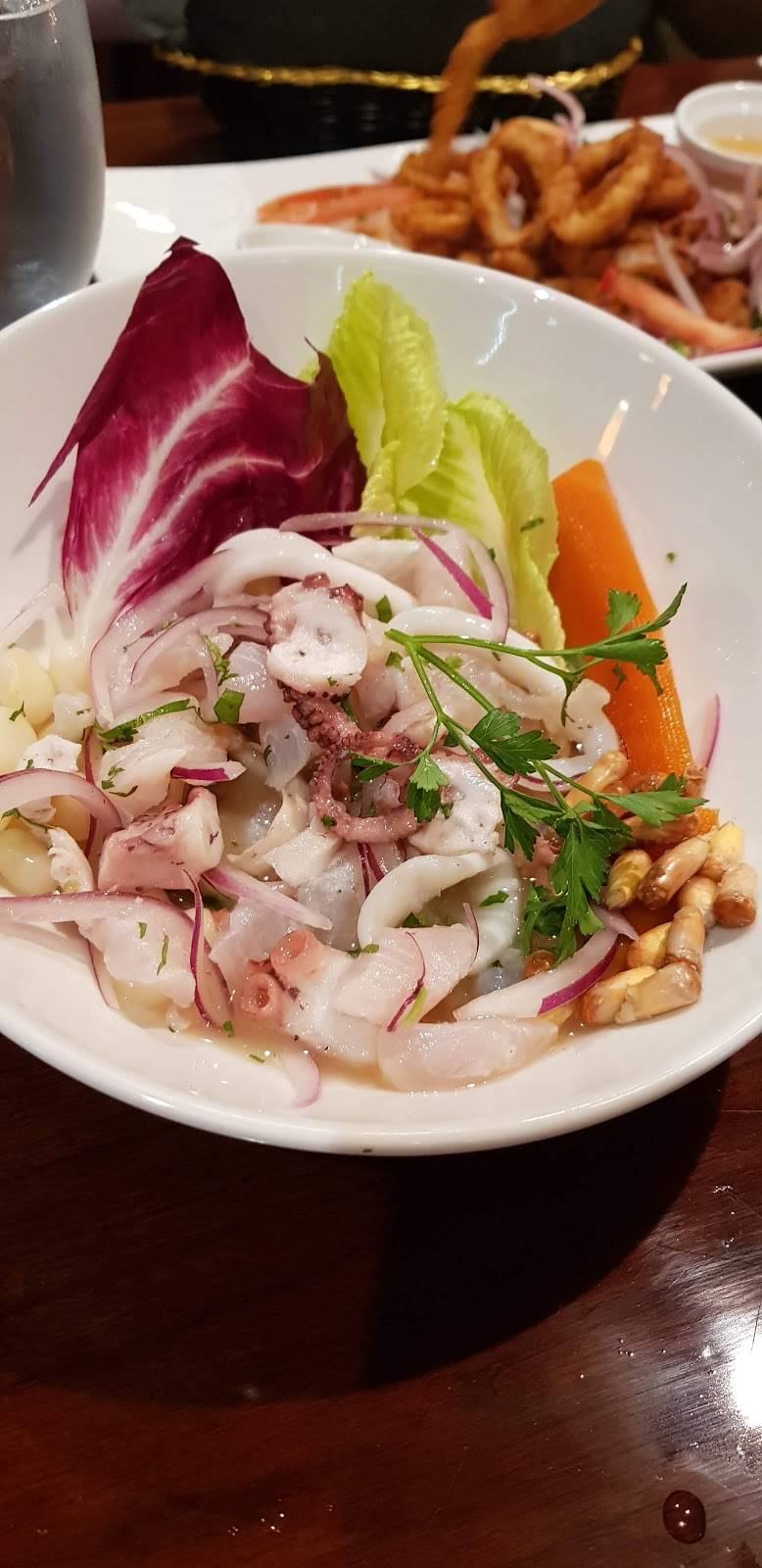 El Chaman Peruvian Restaurant | restaurant | 14241 SW 42nd St, Miami, FL 33175, USA | 3052295133 OR +1 305-229-5133