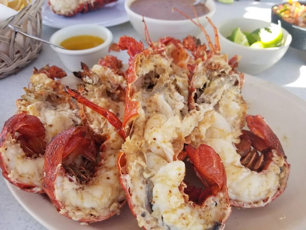 Jatay Restaurant Puerto Nuevo | restaurant | km44 Anzuelo # 13, 22712 Puerto Nuevo, B.C., Mexico | 016611101356 OR +52 661 110 1356