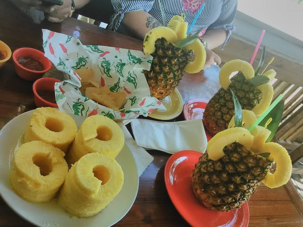 Mr. Tequilas | restaurant | 1661 Estero Blvd #11, Fort Myers Beach, FL 33931, USA | 2392338228 OR +1 239-233-8228