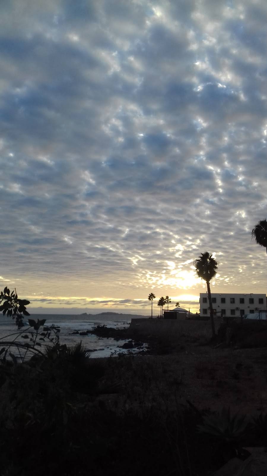 La Comadre Restaurante Tacos | restaurant | Calle Octava 428, Territorio Sur, 22860 Ensenada, B.C., Mexico | 016461740404 OR +52 646 174 0404