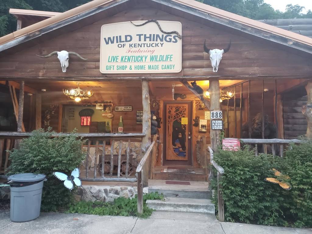 Red River Smokehouse | restaurant | 918 Natural Bridge Rd, Slade, KY 40376, USA | 6065699600 OR +1 606-569-9600