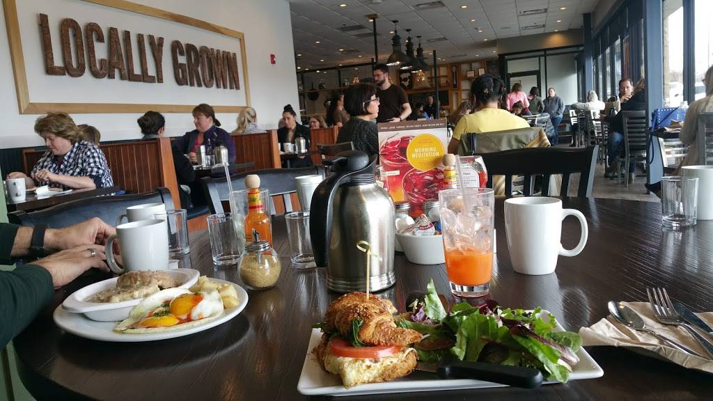 First Watch - Olathe | restaurant | 15289 W 119th St, Olathe, KS 66062, USA | 9133906072 OR +1 913-390-6072