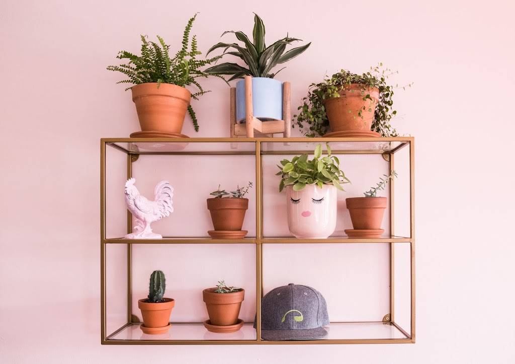 Semilla | restaurant | 218 President St, Charleston, SC 29403, USA | 8437183175 OR +1 843-718-3175