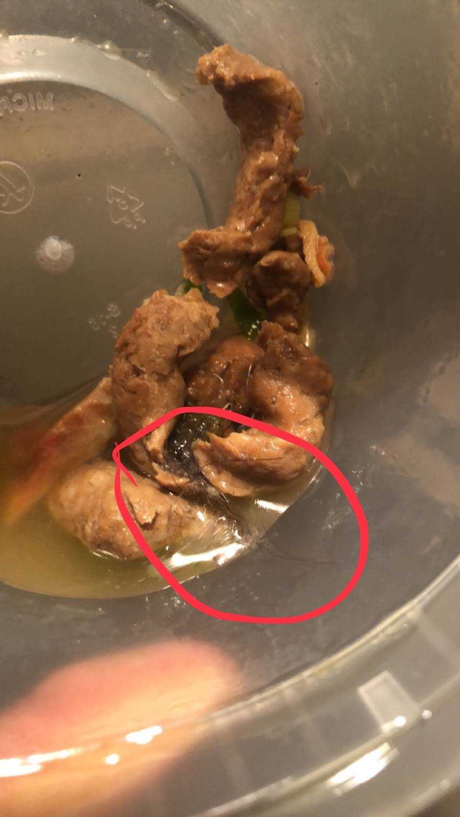 Chang Xing | restaurant | 837 Granville Payne Ave # D, Brooklyn, NY 11207, USA | 7182725868 OR +1 718-272-5868