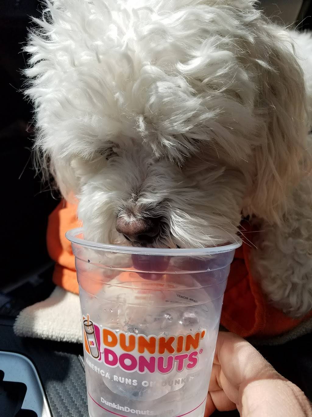 Dunkin | bakery | 4268 Ridge Ave, Philadelphia, PA 19129, USA | 2158446440 OR +1 215-844-6440
