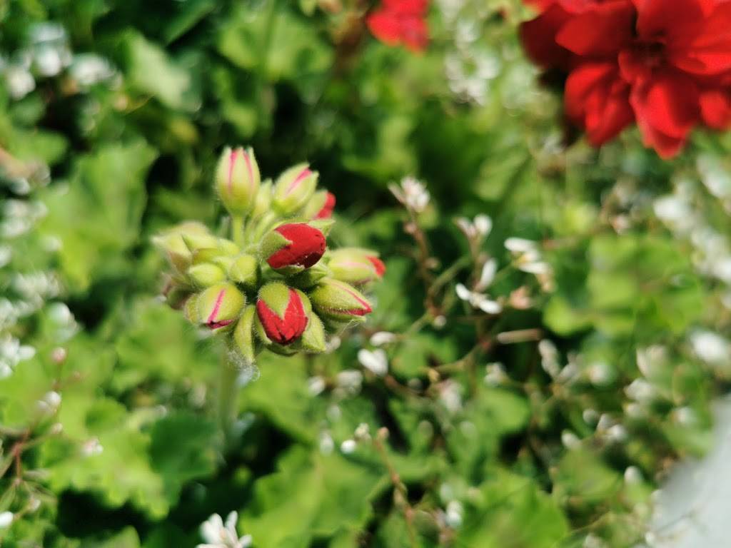 Fly IN Cafe | restaurant | 581 S Airport St, Terre Haute, IN 47803, USA | 8122299992 OR +1 812-229-9992