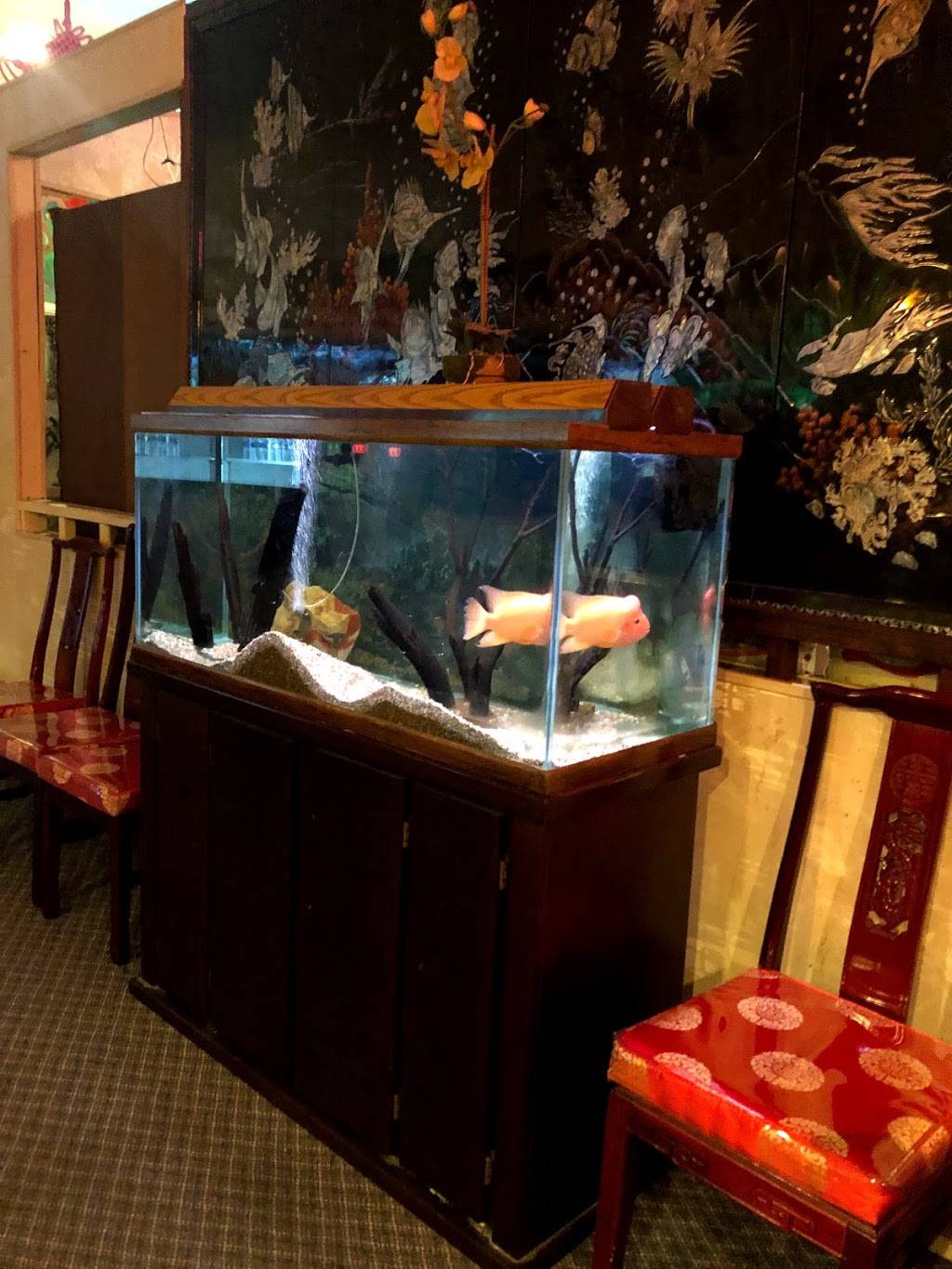 Cathay Imperial Chinese Restaurant | restaurant | 6501 Airline Dr, Metairie, LA 70003, USA | 5047338415 OR +1 504-733-8415