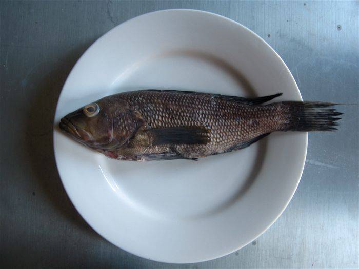 Eastern Garden | restaurant | 455 NJ-23, Sussex, NJ 07461, USA | 9738750089 OR +1 973-875-0089