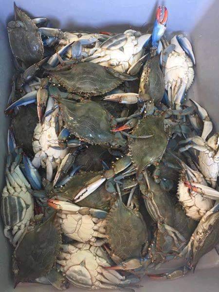 Port Of Brownsville Seafood | restaurant | 3703 W Martin St, San Antonio, TX 78207, USA | 2102339220 OR +1 210-233-9220