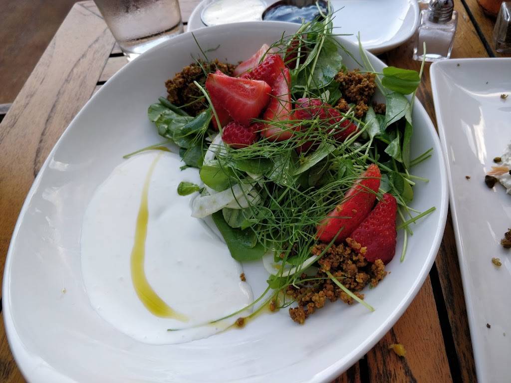 Seed Kitchen & Bar | restaurant | 1311 Johnson Ferry Rd #504, Marietta, GA 30068, USA | 6782146888 OR +1 678-214-6888