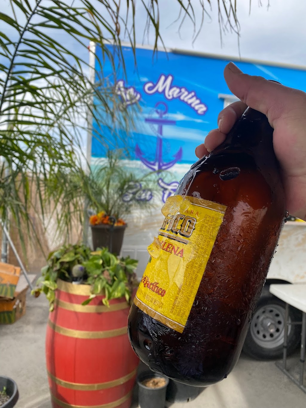 MARISCOS LA MARINA 2 | restaurant | 32638 Rd 124, Visalia, CA 93291, USA | 5598999692 OR +1 559-899-9692