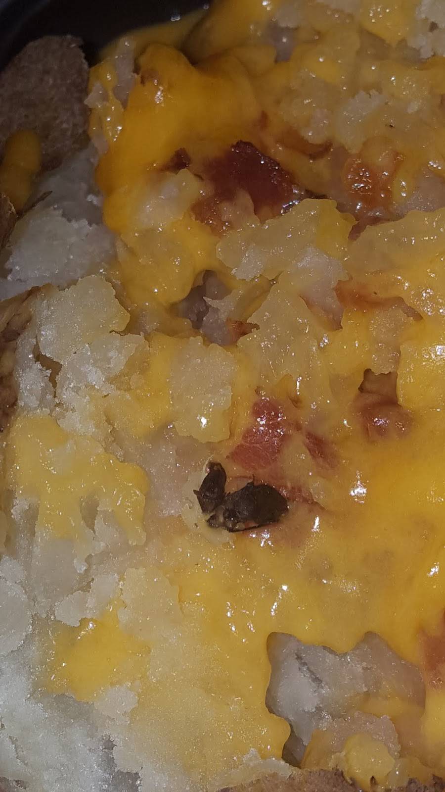 Wendys | restaurant | 774 Montauk Hwy, Center Moriches, NY 11934, USA | 6318748990 OR +1 631-874-8990