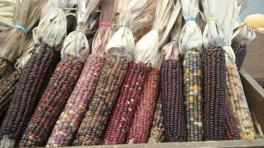 Papis Pizza Roma | restaurant | 10616 San Pablo Ave, El Cerrito, CA 94530, USA | 5105259554 OR +1 510-525-9554