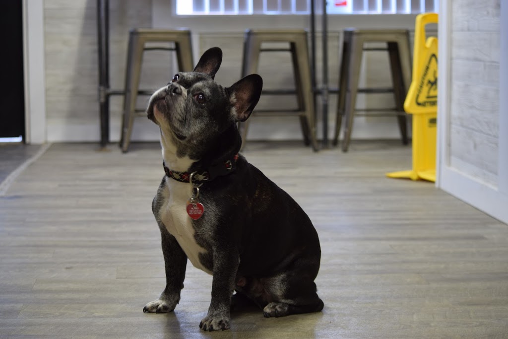 Sunnys Pizzeria | restaurant | 1801 S Walts Ave, Sioux Falls, SD 57105, USA | 6052714770 OR +1 605-271-4770