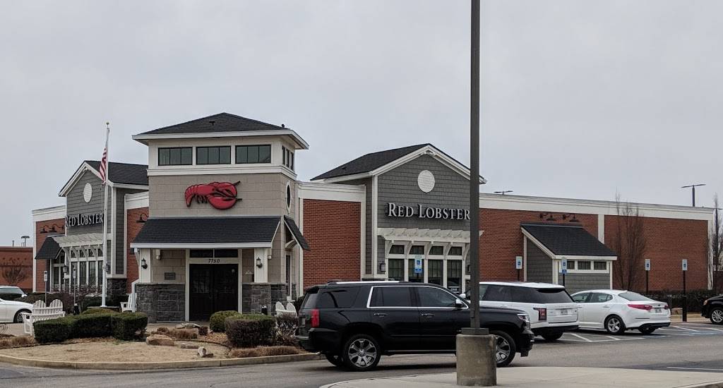 Red Lobster | restaurant | 7750 Winchester Rd, Memphis, TN 38125, USA | 9017599045 OR +1 901-759-9045