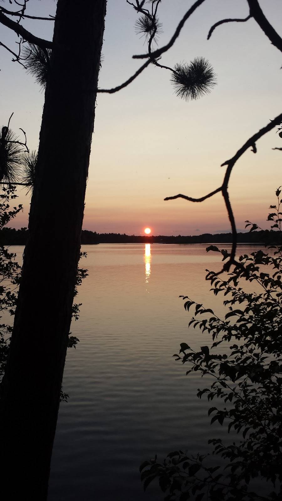 Sure-Wood Forest Bar & Grill | restaurant | W4276 Sandy Ln, Tomahawk, WI 54487, USA | 7154538844 OR +1 715-453-8844