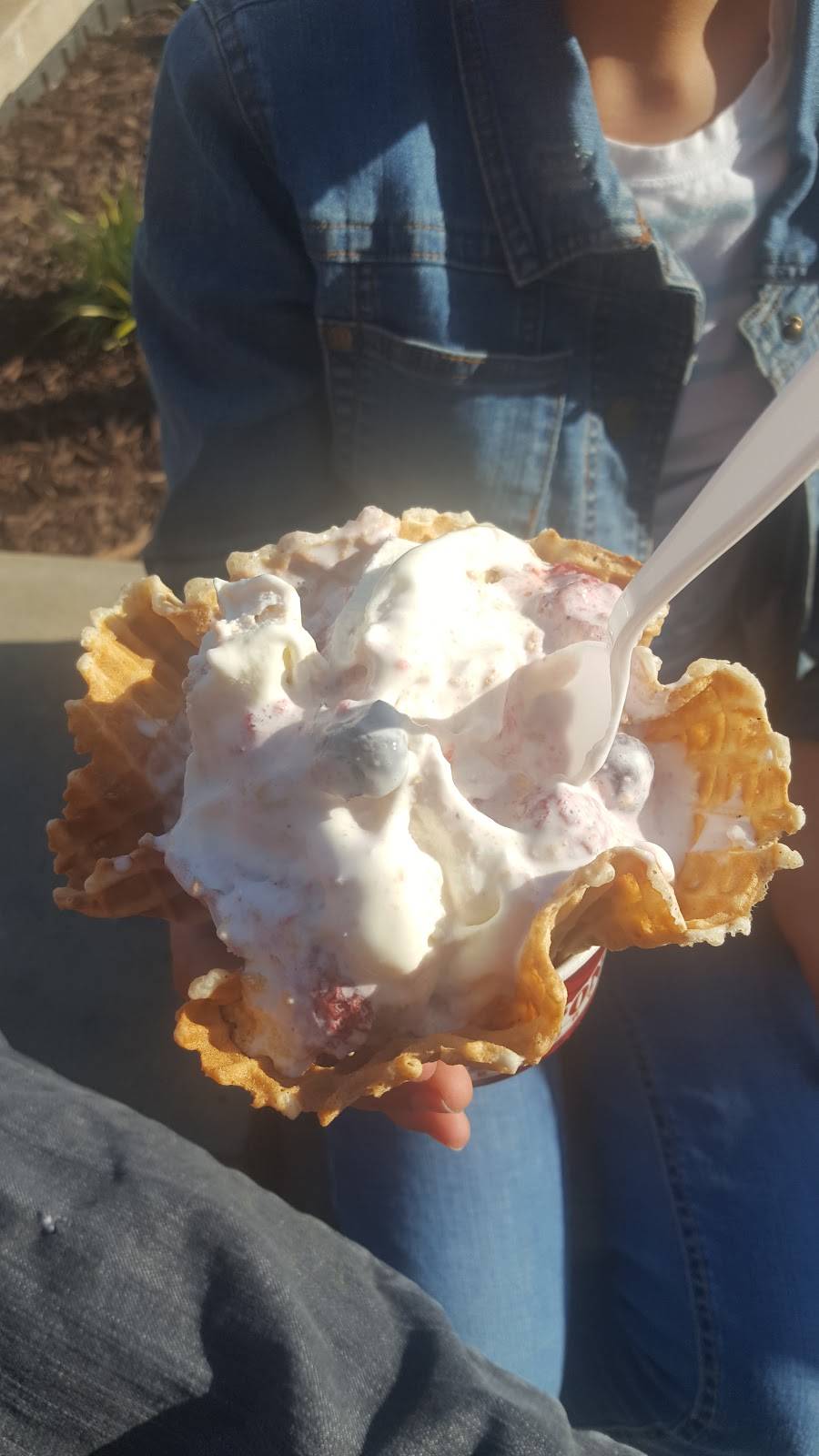 Cold Stone Creamery | bakery | 43562 Christy St, Fremont, CA 94538, USA | 5106513500 OR +1 510-651-3500