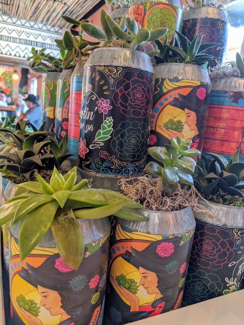 Grove Brunch Cafe | restaurant | 7470 Cimarron Market, Building 7 Suite 200, El Paso, TX 79911, USA | 9152342299 OR +1 915-234-2299