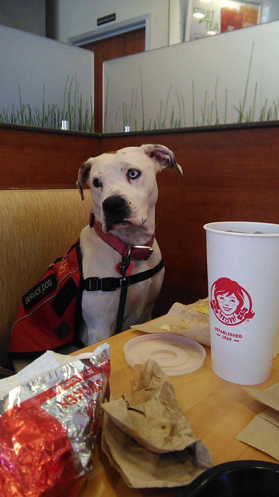 Wendys | restaurant | 965 Hwy 123 Bypass, Seneca, SC 29678, USA | 8648825180 OR +1 864-882-5180