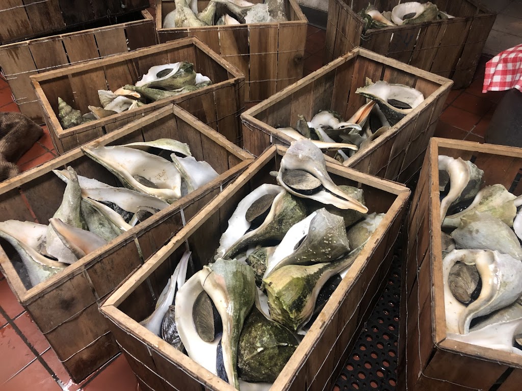 New York Seafood Market & Restaurant | restaurant | 2801 34th St S, St. Petersburg, FL 33711, USA | 7278676666 OR +1 727-867-6666