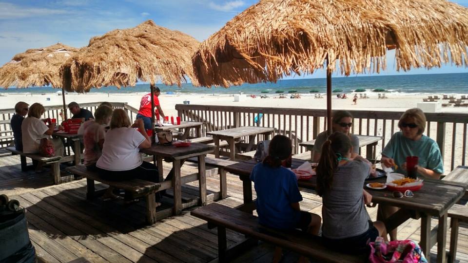 Pink Pony Pub | night club | 137 E Gulf Pl, Gulf Shores, AL 36542, USA | 2519486371 OR +1 251-948-6371